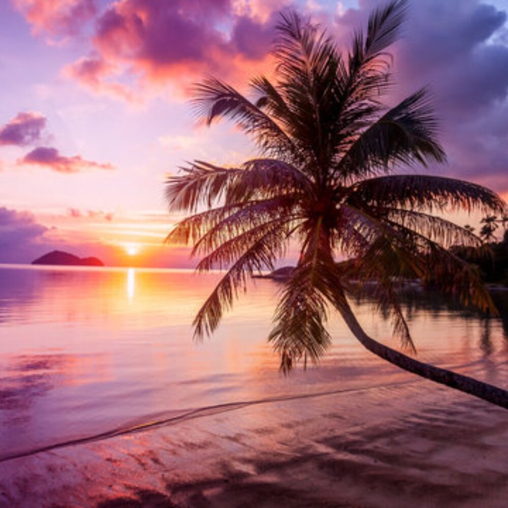 POSH LIVE $5 UNLISTED